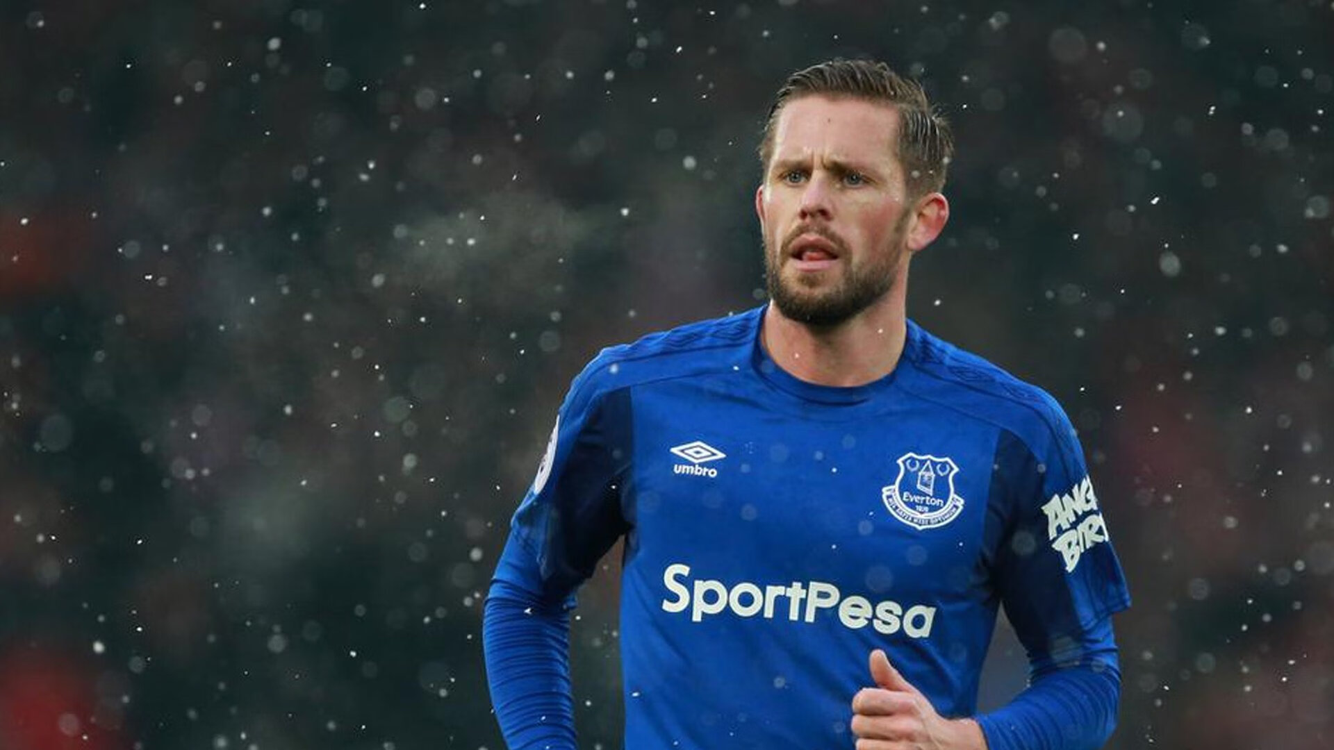 冠军球队球迷自发庆祝活动秩序良好获赞,球队获得冠军的祝贺词