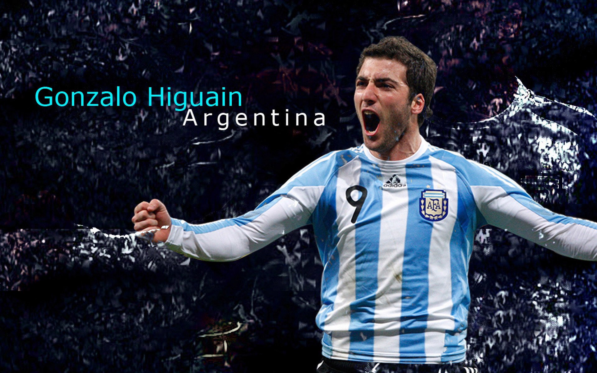 印度击败强敌，投球阵容完美运行，印度球迷